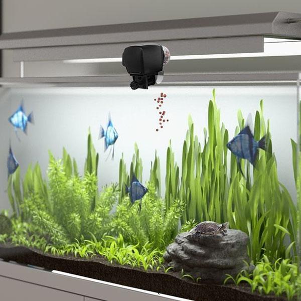 Digital Automatic Aquarium Fish Feeder – Programmable Timer & 65ml Dispenser | GrabliWorld