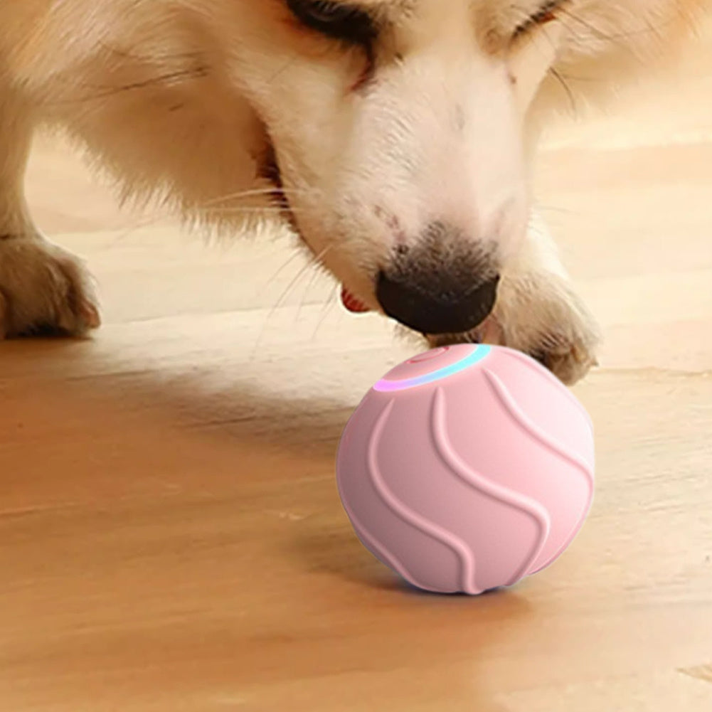 Interactive Automatic Bouncing Cat Toy Ball – USB Rechargeable Jumping Ball for Indoor Kittens & Cats