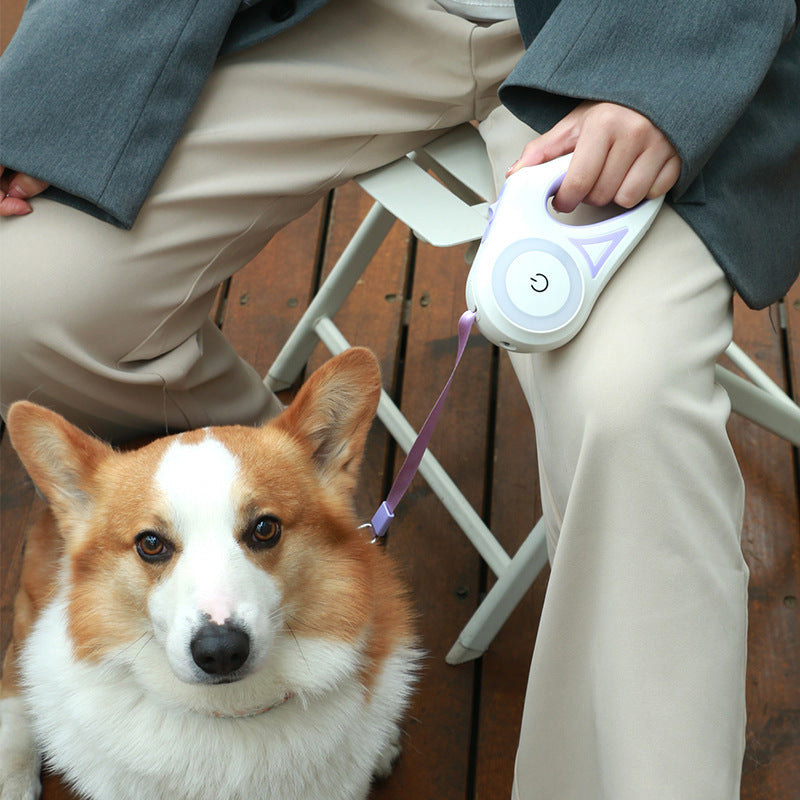 Dog Leash Retractable Leash and Dog Collar – Automatic Pet Traction Rope for Small & Medium Dogs