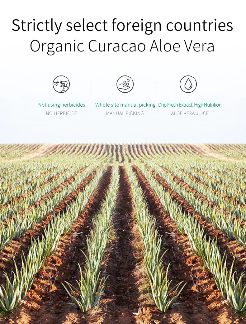 FONCE Organic Pure Aloe Vera Gel 300g Moisturizing Cream Sunburn Aloe Gel Natural Safe Sleeping Mask Soothing Lotion