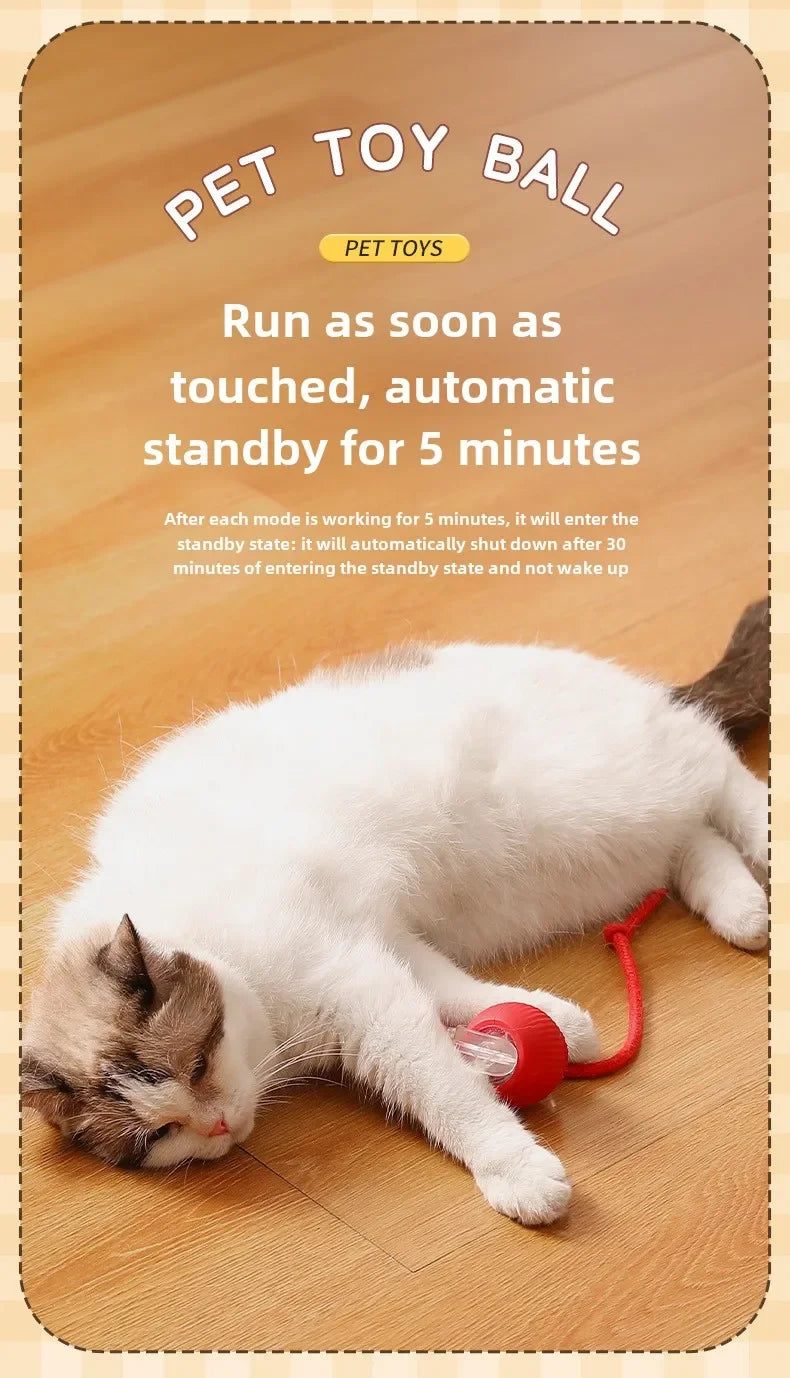 Interactive Dog Toys Rechargeable Pet Interactive Toys Electric Cats Ball Automatic Rolling Fake Tail Ball Dog Cats Toy