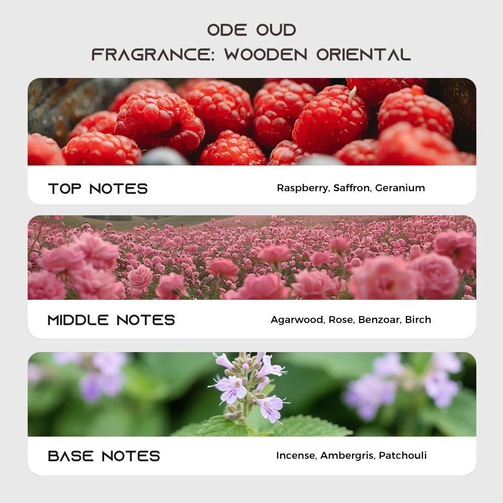 TROVEZ Ode Oud 100ml Perfume Wood Oriental Tone Long-lasting Fragrance Unisex Perfume Body Spray Rich Arabic Perfumes Scent Gift