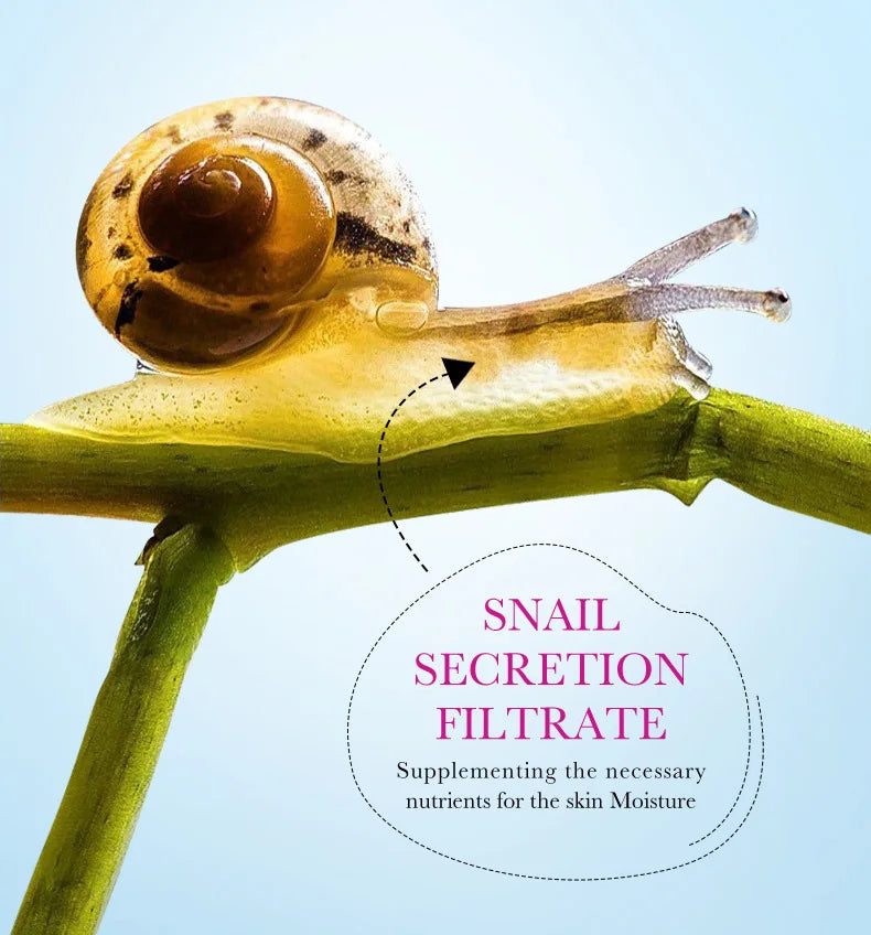 SADOER Snail Collagen Face Cream Gel Firming Repair Brightening Moisturizing Facial Creams Beauty Face Skin Care Products