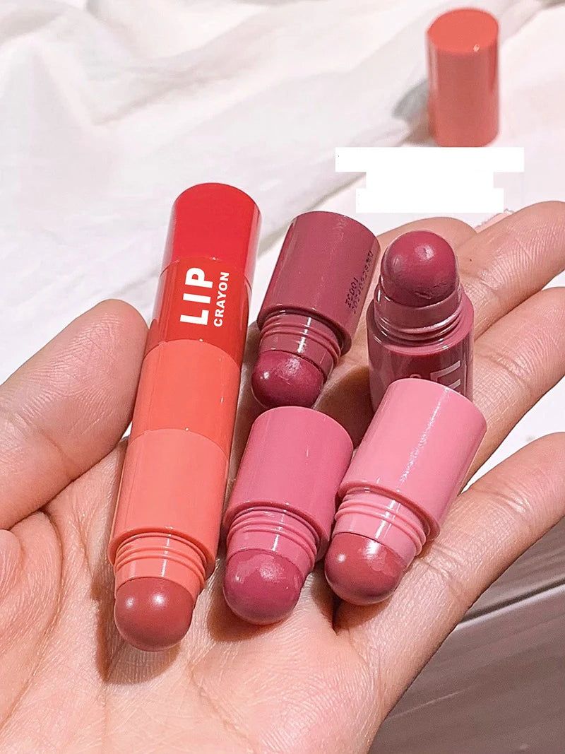 Mini Lipstick Set Matte 4 Colors Lipstick Combination 4 Sections Velvet Grapefruit Red Lip Pigment Non-stick Cup Lip Gloss kit