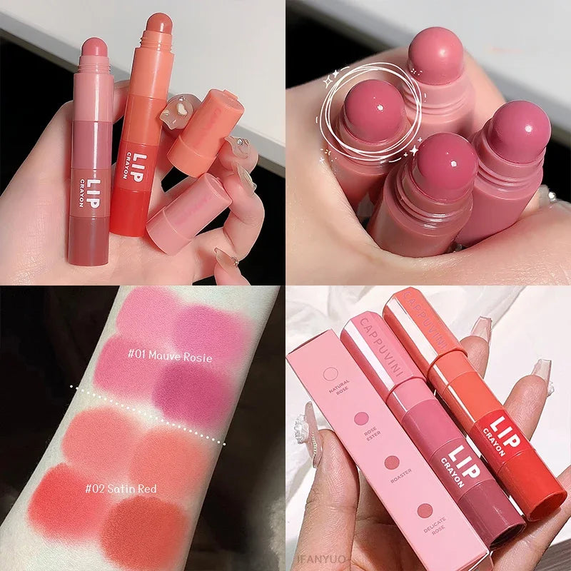 Mini Lipstick Set Matte 4 Colors Lipstick Combination 4 Sections Velvet Grapefruit Red Lip Pigment Non-stick Cup Lip Gloss kit