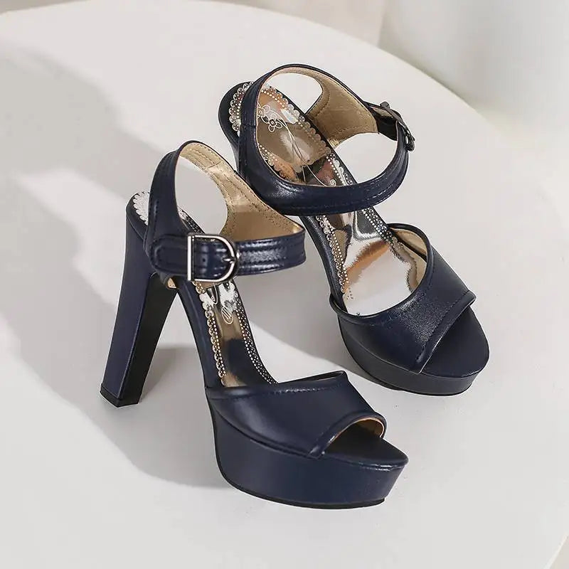 Women’s ORCHA LISA Peep Toe Chunky Heel Sandals – 12 cm Heel, 3 cm Platform, Plus Sizes 33 to 50
