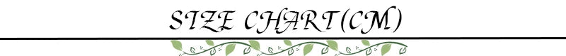 Shestyle Lace Transparent Long Skirts for Women Asymmetrical Floral Ruffles Summer 2025 Nre Stylish Outfits Holiday Slit Elegant