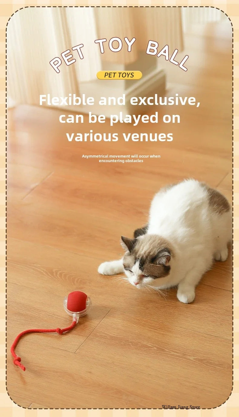 Interactive Dog Toys Rechargeable Pet Interactive Toys Electric Cats Ball Automatic Rolling Fake Tail Ball Dog Cats Toy
