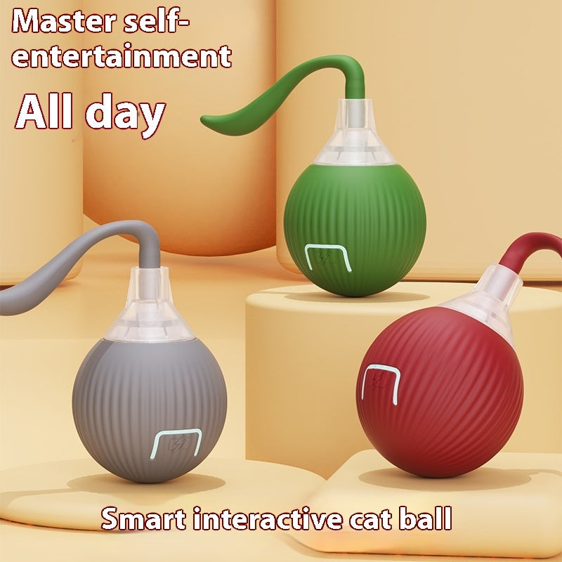 Interactive Cat Toy Ball – Super Drive Rolling Ball