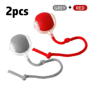 Interactive Cat Toy Ball – Super Drive Rolling Ball