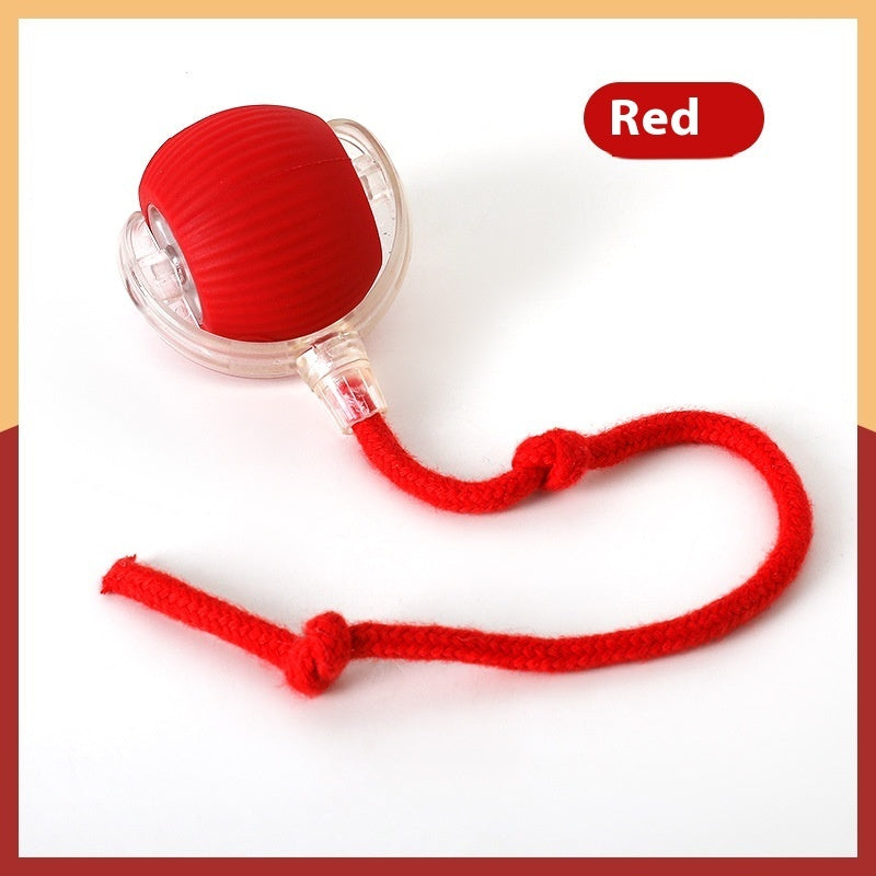 Interactive Cat Toy Ball – Super Drive Rolling Ball