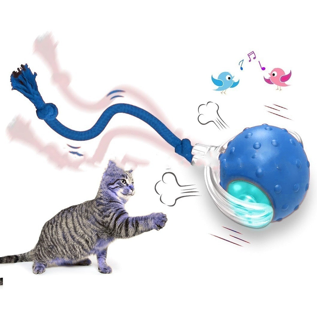 Interactive Cat Toy Ball – Super Drive Rolling Ball