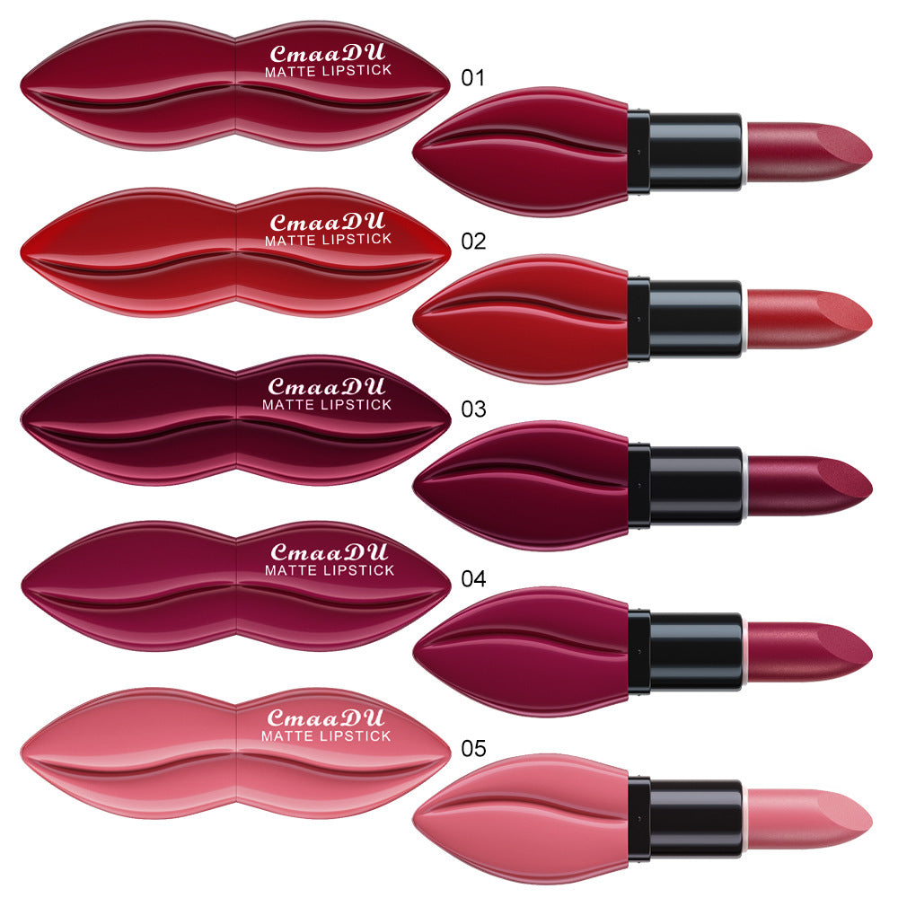 CmaaDu 10 Colors Long-Lasting Matte Lipstick Lip Stick with Rich Velvet Color and Waterproof Formula Valentine's Day Gifts