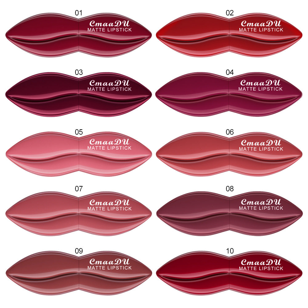 CmaaDu 10 Colors Long-Lasting Matte Lipstick Lip Stick with Rich Velvet Color and Waterproof Formula Valentine's Day Gifts