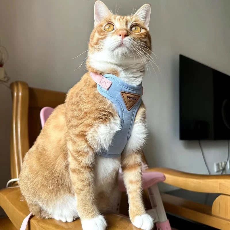 Cat Puppy Outdoor Walking Supplies Fashion Pet Harness and Leash Set for Small Dogs Cats Breathable Durable Kitten Harnesses