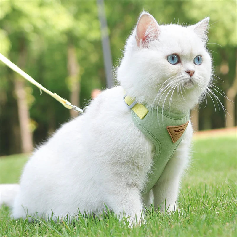 Cat Puppy Outdoor Walking Supplies Fashion Pet Harness and Leash Set for Small Dogs Cats Breathable Durable Kitten Harnesses