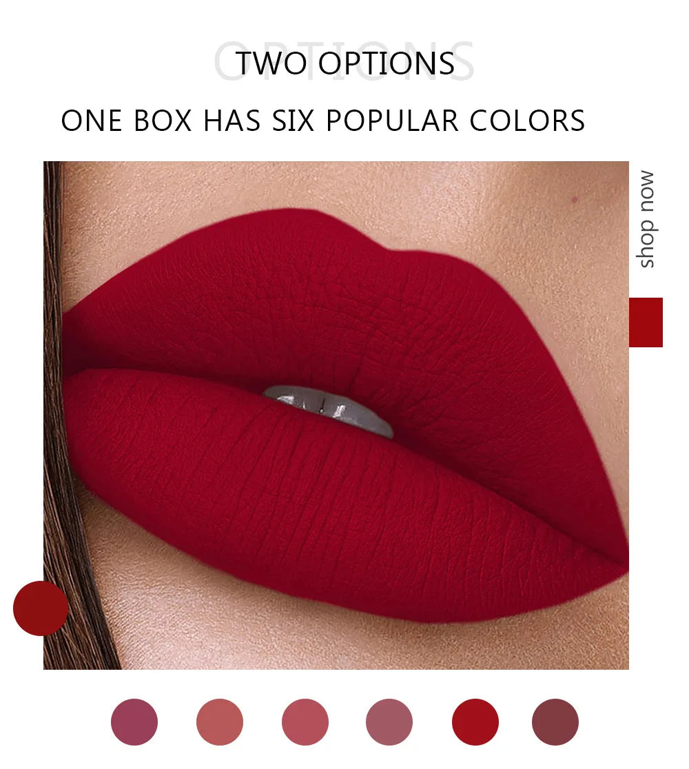 HANDAIYAN 6 Shade Lipstick Set Matte Finish Liquid Lip Gloss Waterproof Long Lasting No Smudge Vegan Beauty