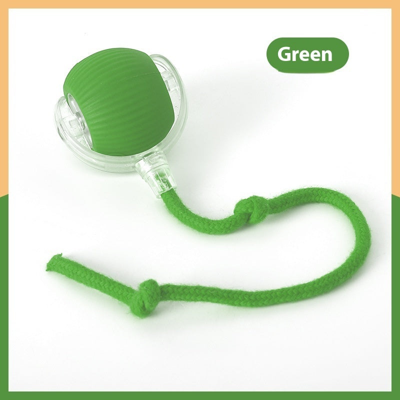 Interactive Cat Toy Ball – Super Drive Rolling Ball
