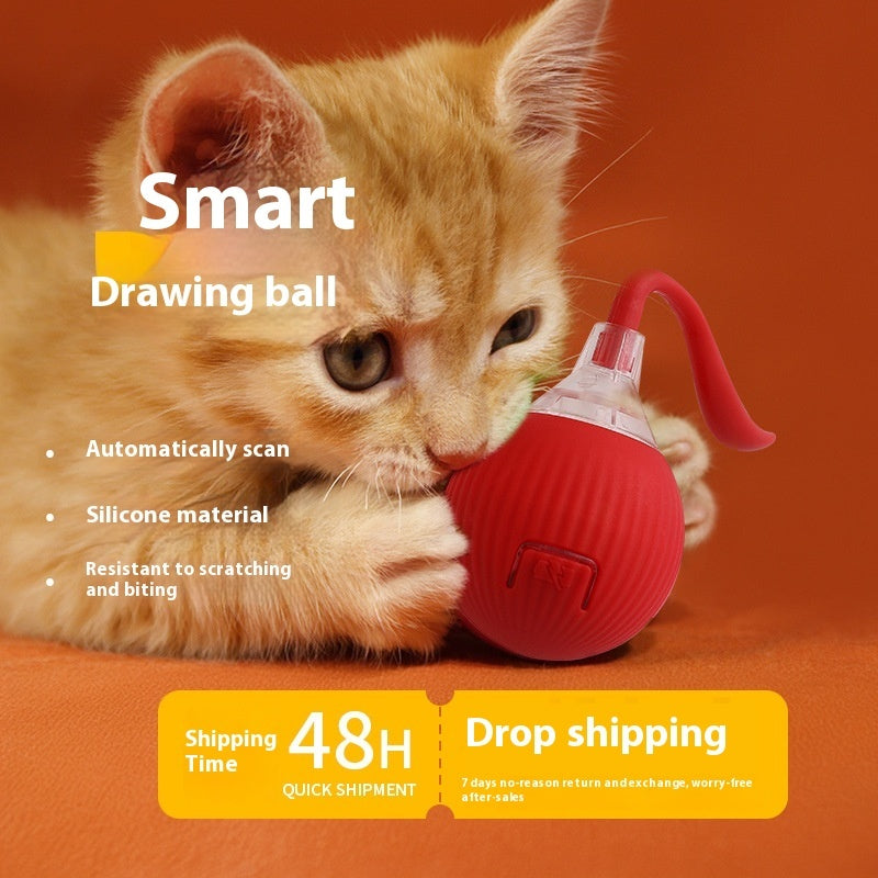 Interactive Cat Toy Ball – Super Drive Rolling Ball