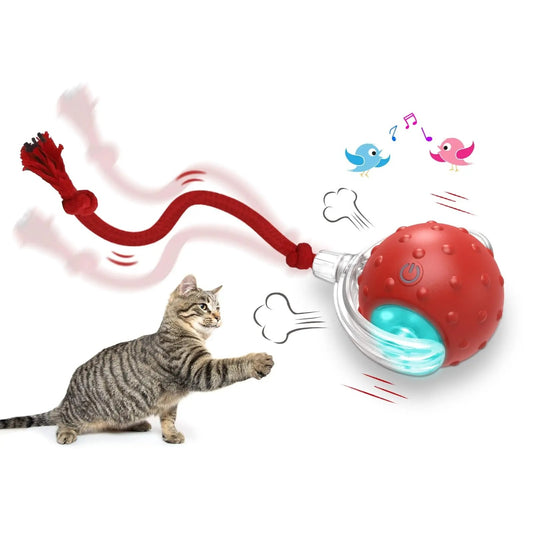 Interactive Cat Toy Ball – Super Drive Rolling Ball